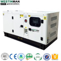 Ricardo Brand 50KW Silent Diesel Gerator Set com motor chinês